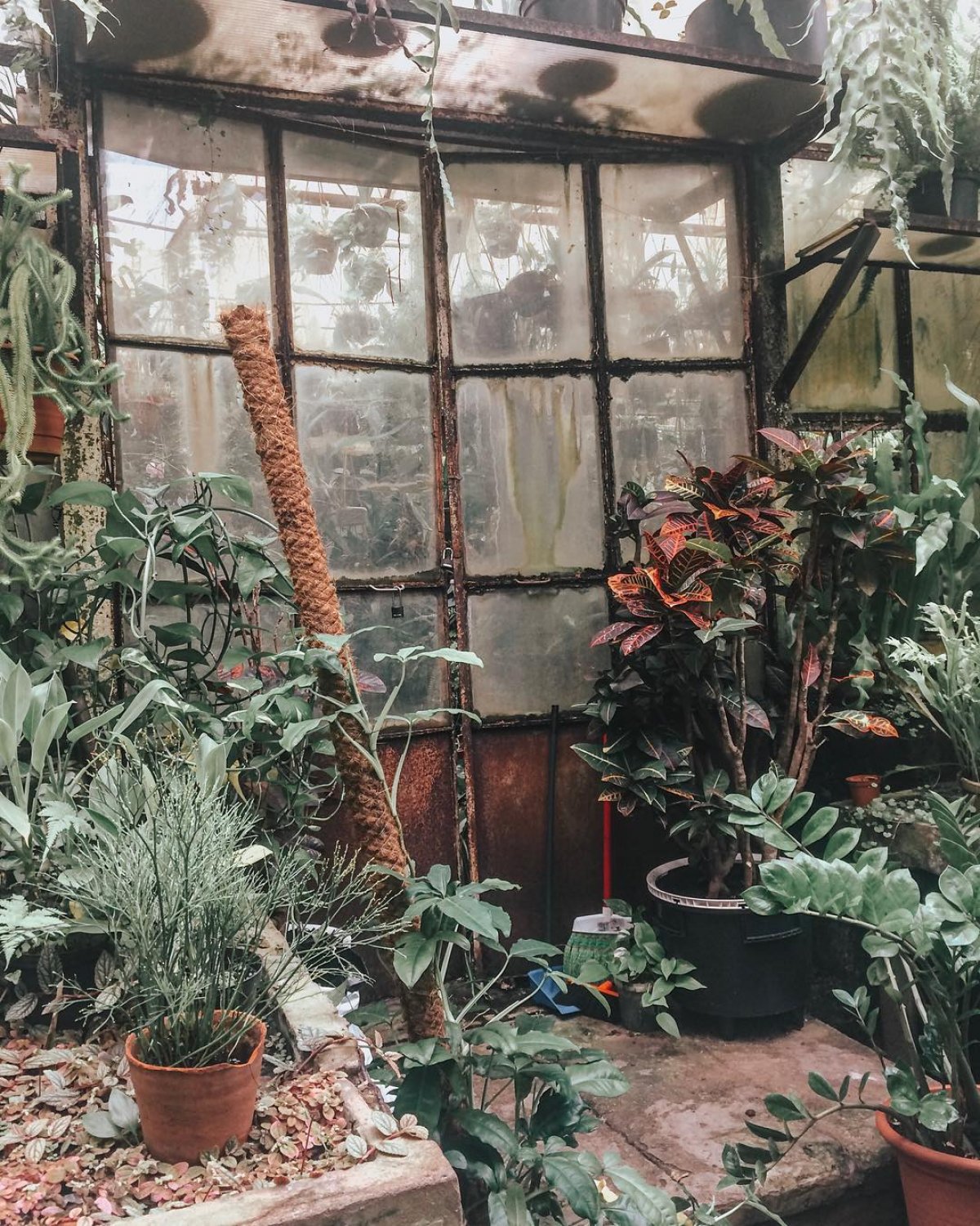 Атмосфера Ботанического сада