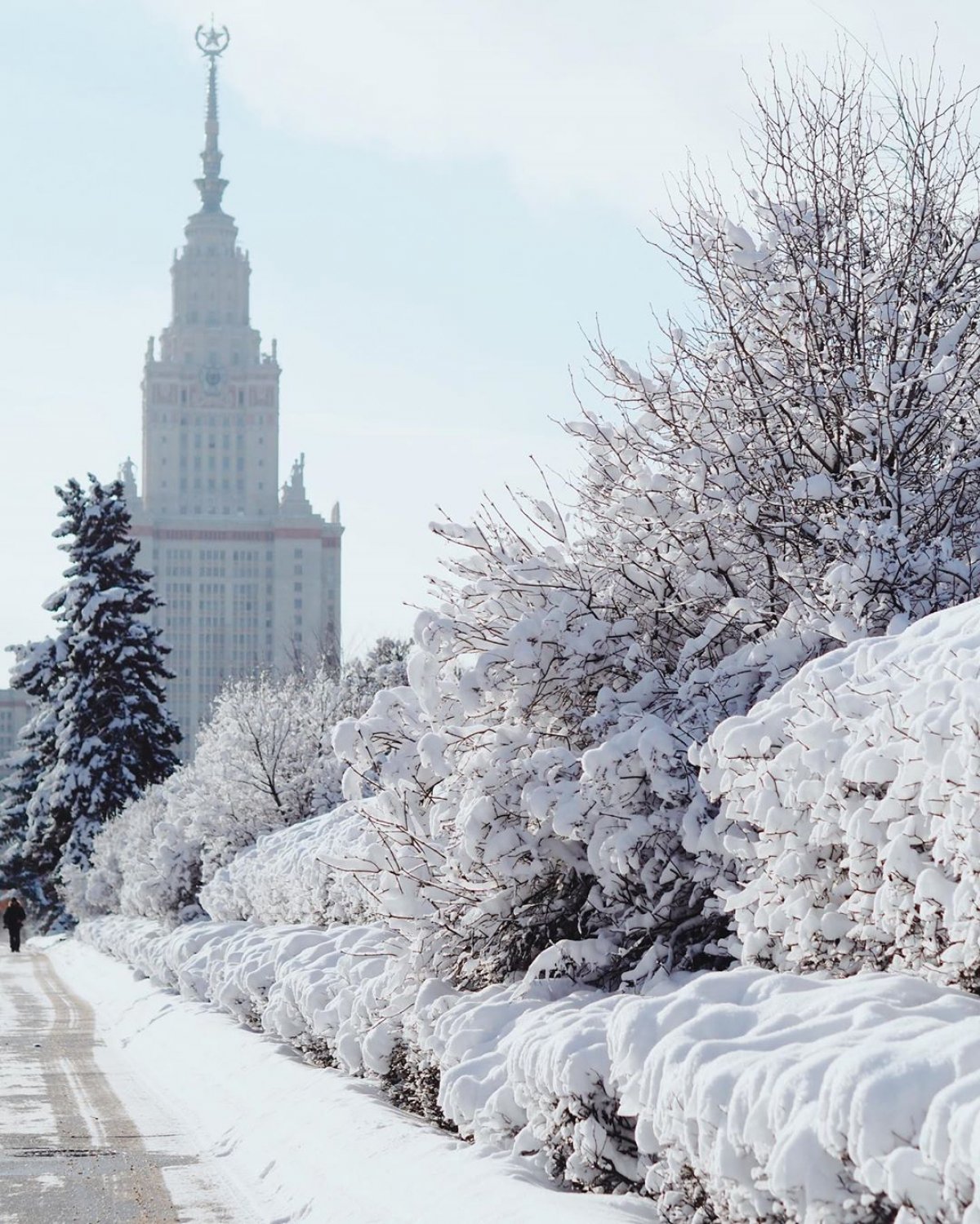 Зима в городе Москва