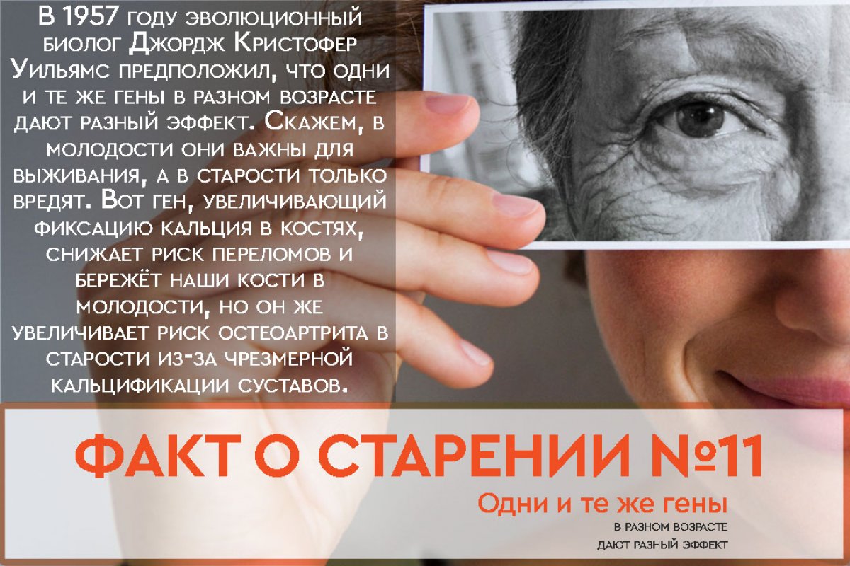 А был ли ген? 🧐