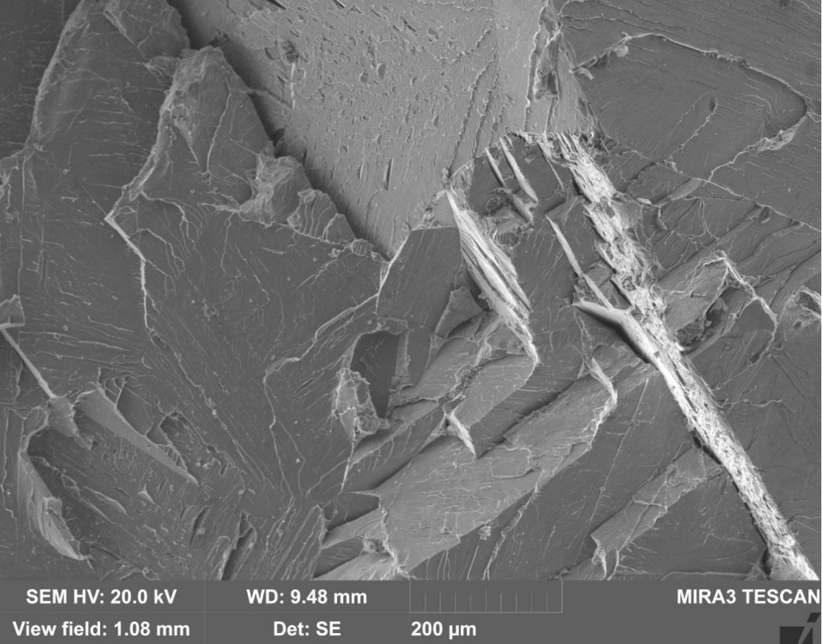 Вновь публикуем для вас необычные снимки, сделанные в с помощью электронного микроскопа 🔬