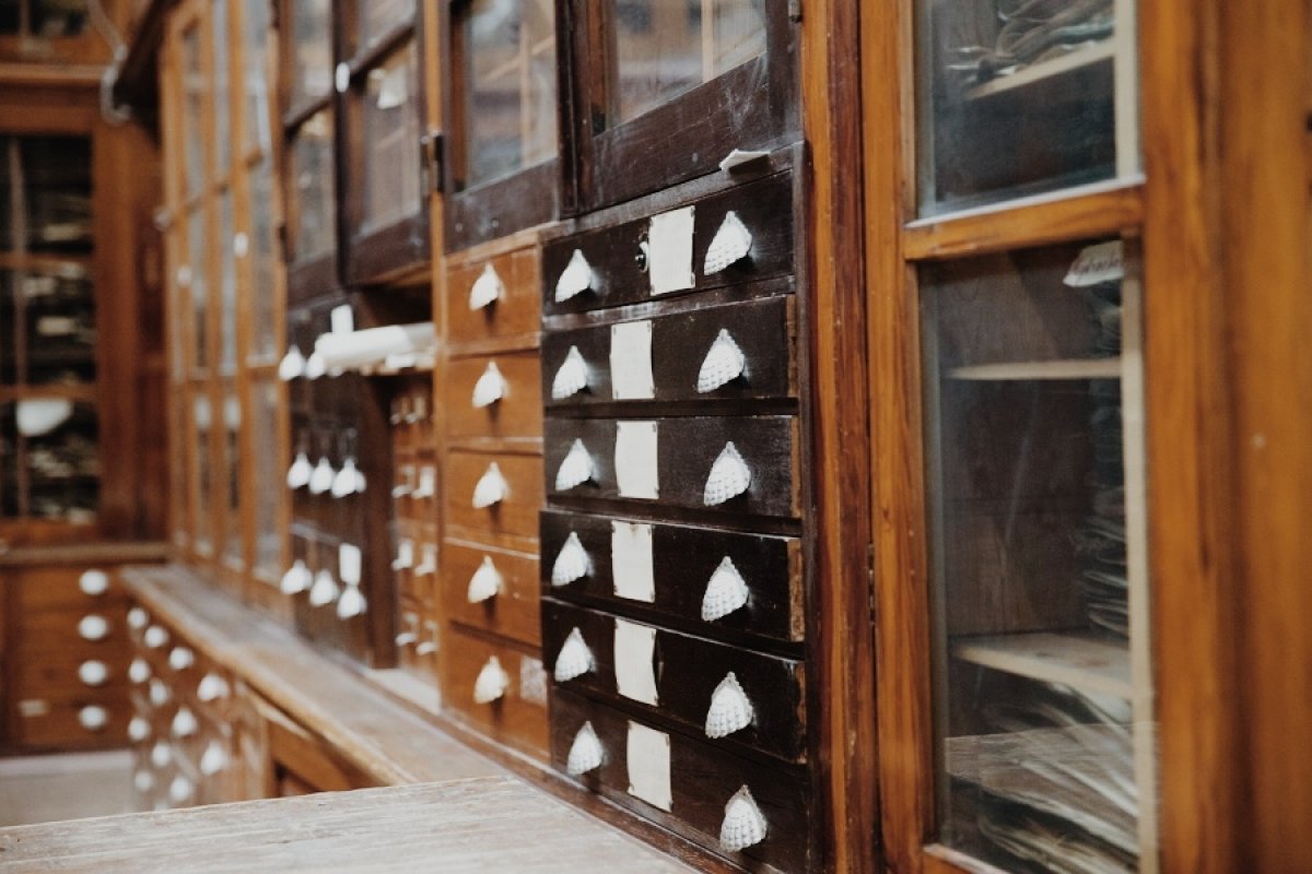 Гербарий Новость от 06-02-2020