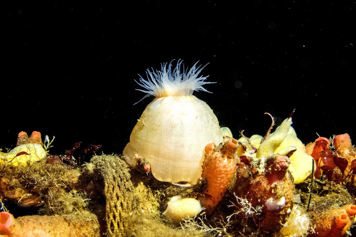  Новость от 09-02-2020