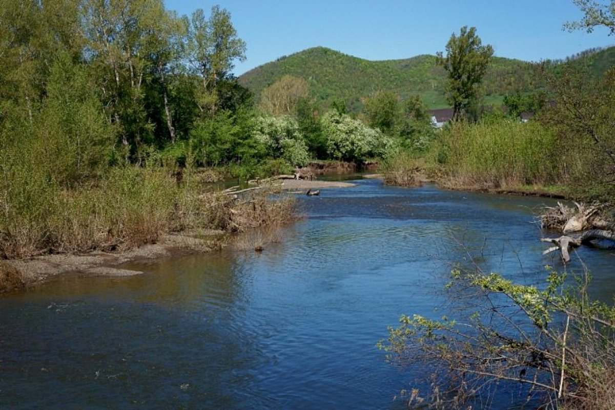 🏵 Проект «Главный аграрный. Страницы истории» вспоминает выпускника Тимирязевки и замечательного поэта Сергея Чекмарева! 🏵 Проект «Главный аграрный. Страницы истории» вспоминает выпускника Тимирязевки и замечательного поэта Сергея Чекмарева!