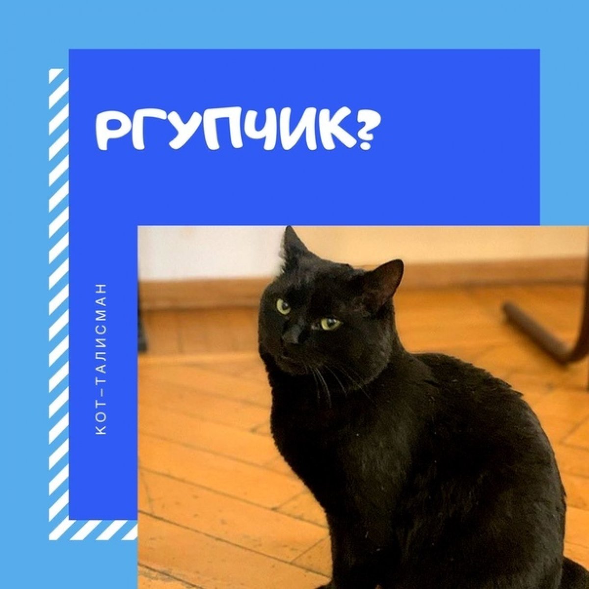 А вы знали, что у нашего Университета есть свой талисман❓ А вы знали, что у нашего Университета есть свой талисман❓