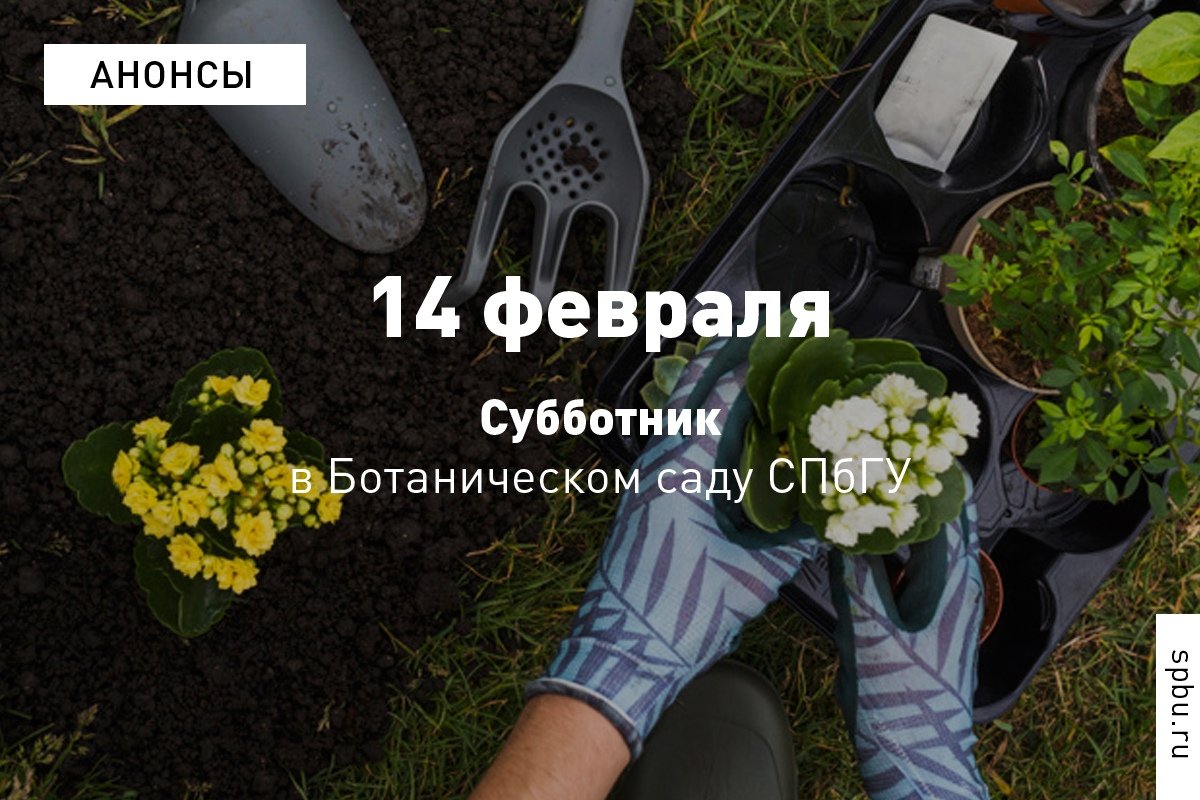 14 февраля приглашаем всех влюблённых в растительный мир на субботник в оранжереи Ботанического сада !