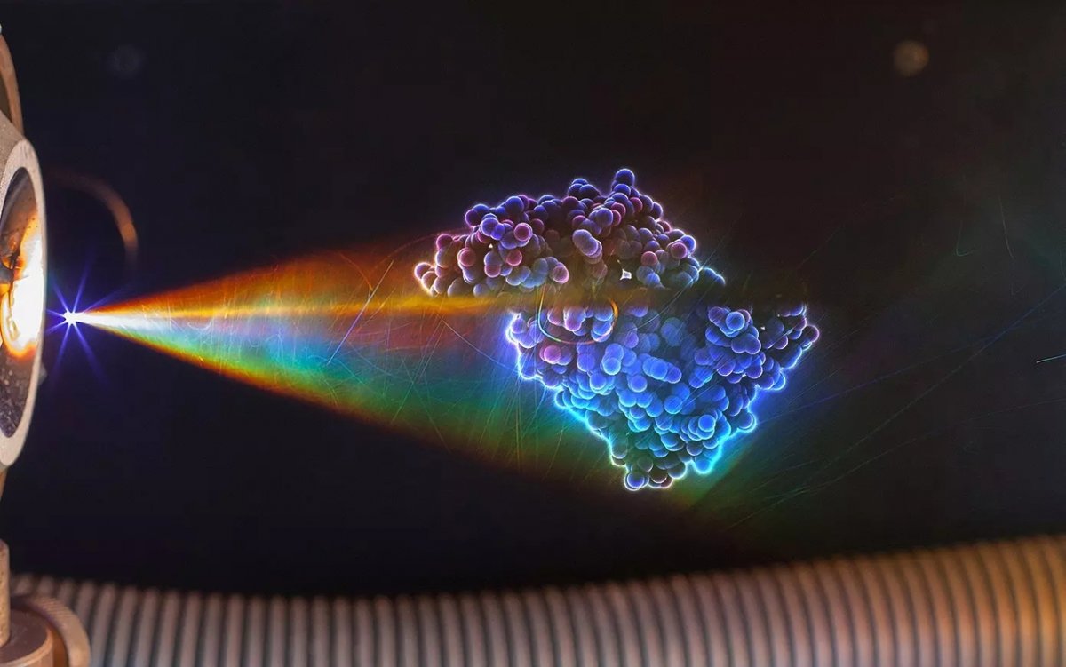 Разрезали молекулу ✂