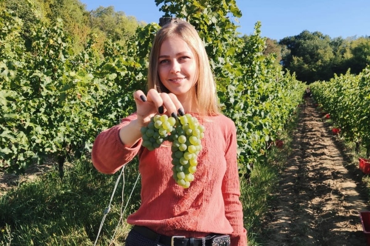 Елизавета Шимова – студентка первого курса магистратуры по профилю «Управление виноградарским и винодельческим предприятием».