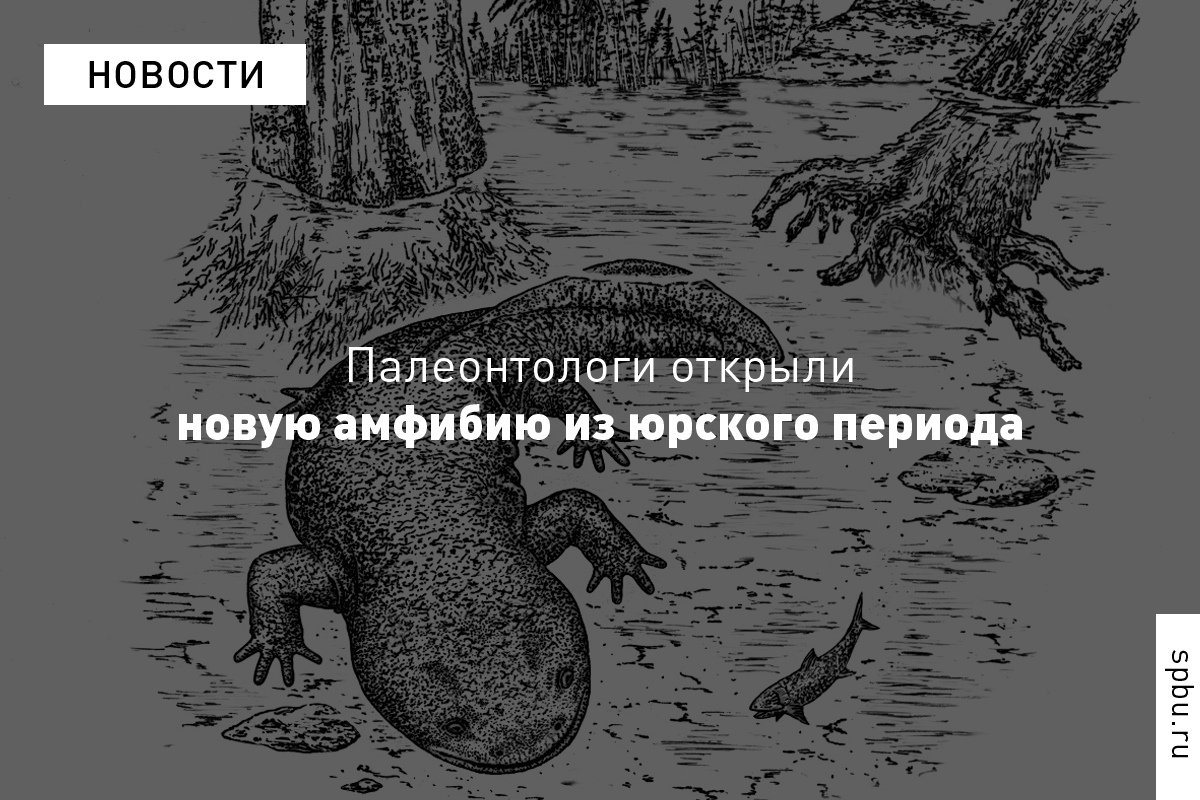 Учёные описали ранее неизвестный род и вид саламандр