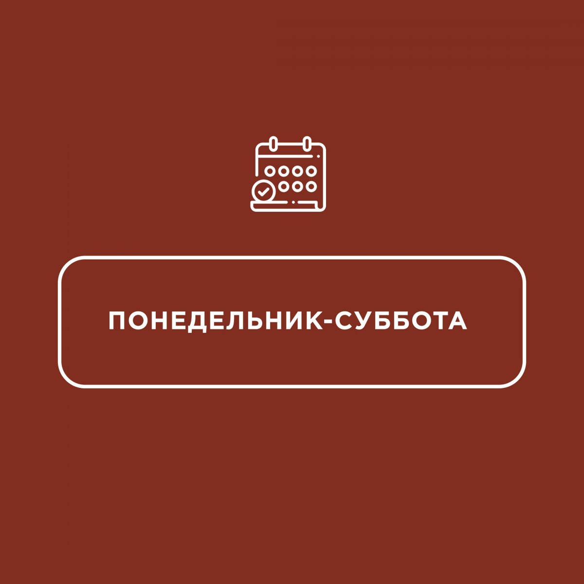 С сегодняшнего дня запущены два маршрута городских шаттлов, которые обеспечат возможность добраться студентам и сотрудникам ДВФУ до университетского кампуса и обратно в город.