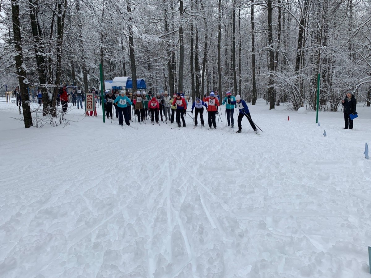 25 февраля в Берендеевском лесу прошли соревнования по лыжным гонкам в рамках спартакиады преподавателей и сотрудников "Бодрость и здоровье".