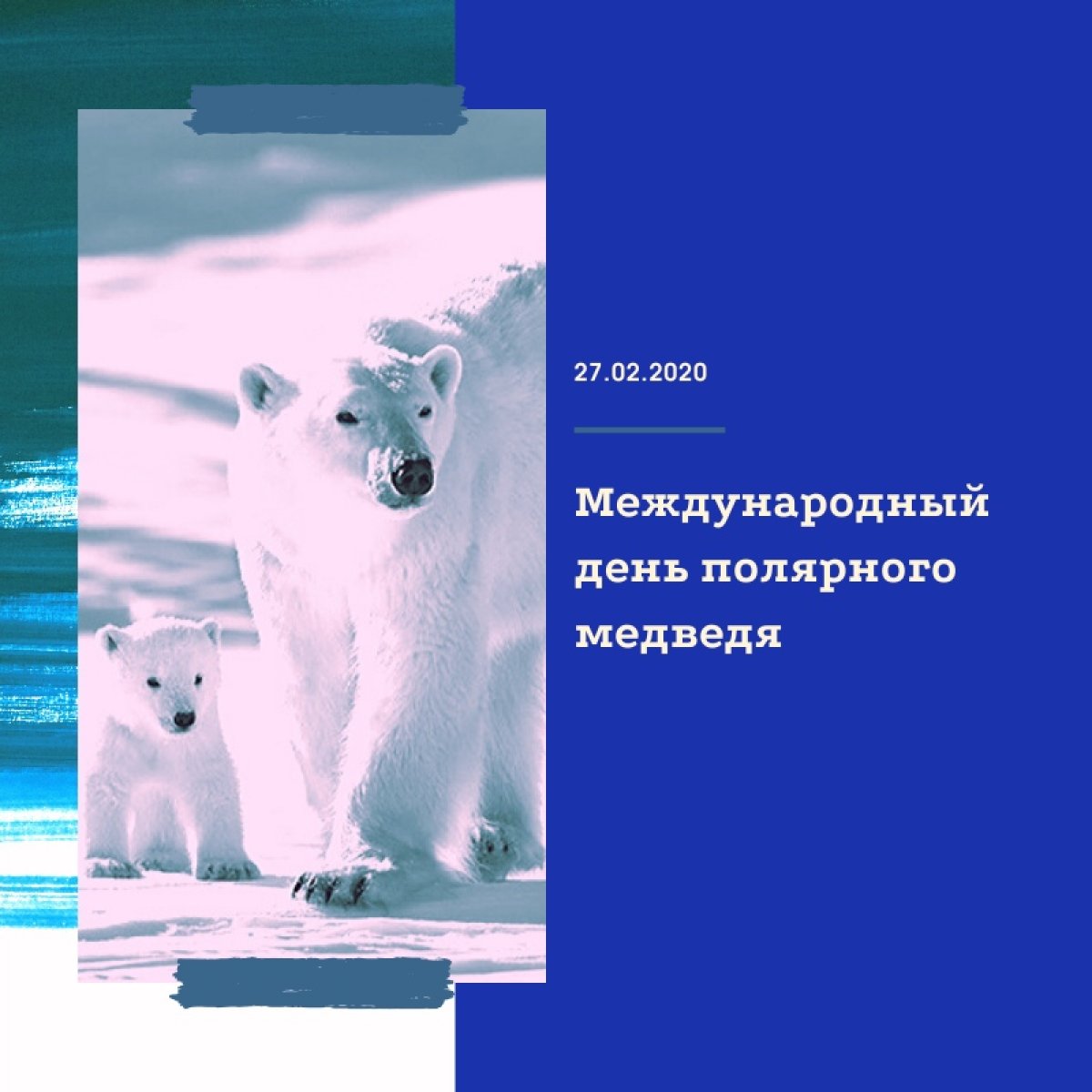 Ежегодно 27 февраля в мире отмечается Международный день полярного медведя (International Polar Bear Day) или