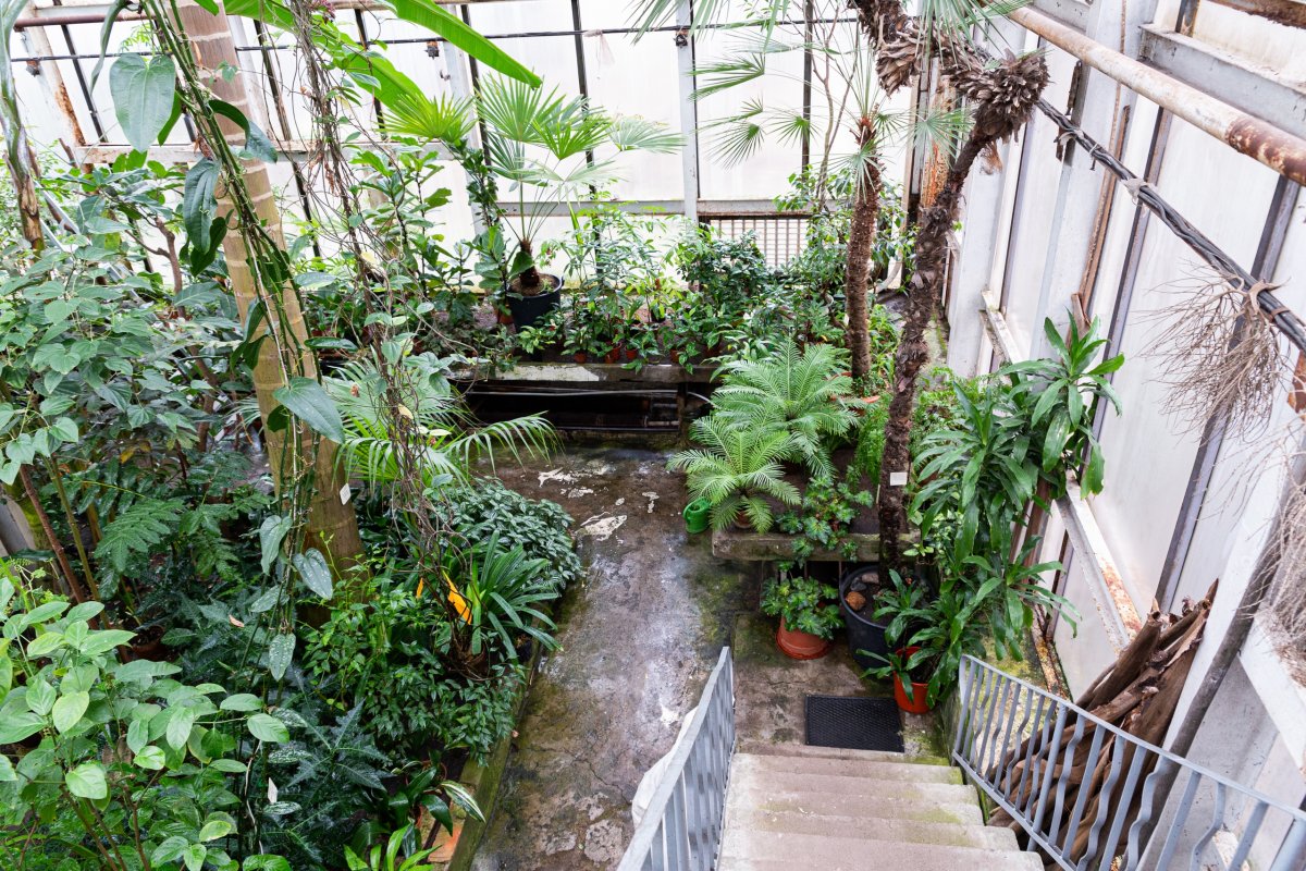 За 150 лет существования Ботанический сад пережил несколько перепланировок, частично утратил ценные коллекции, а его территория использовалась под автохозяйство, огород и свалку для химических отходов