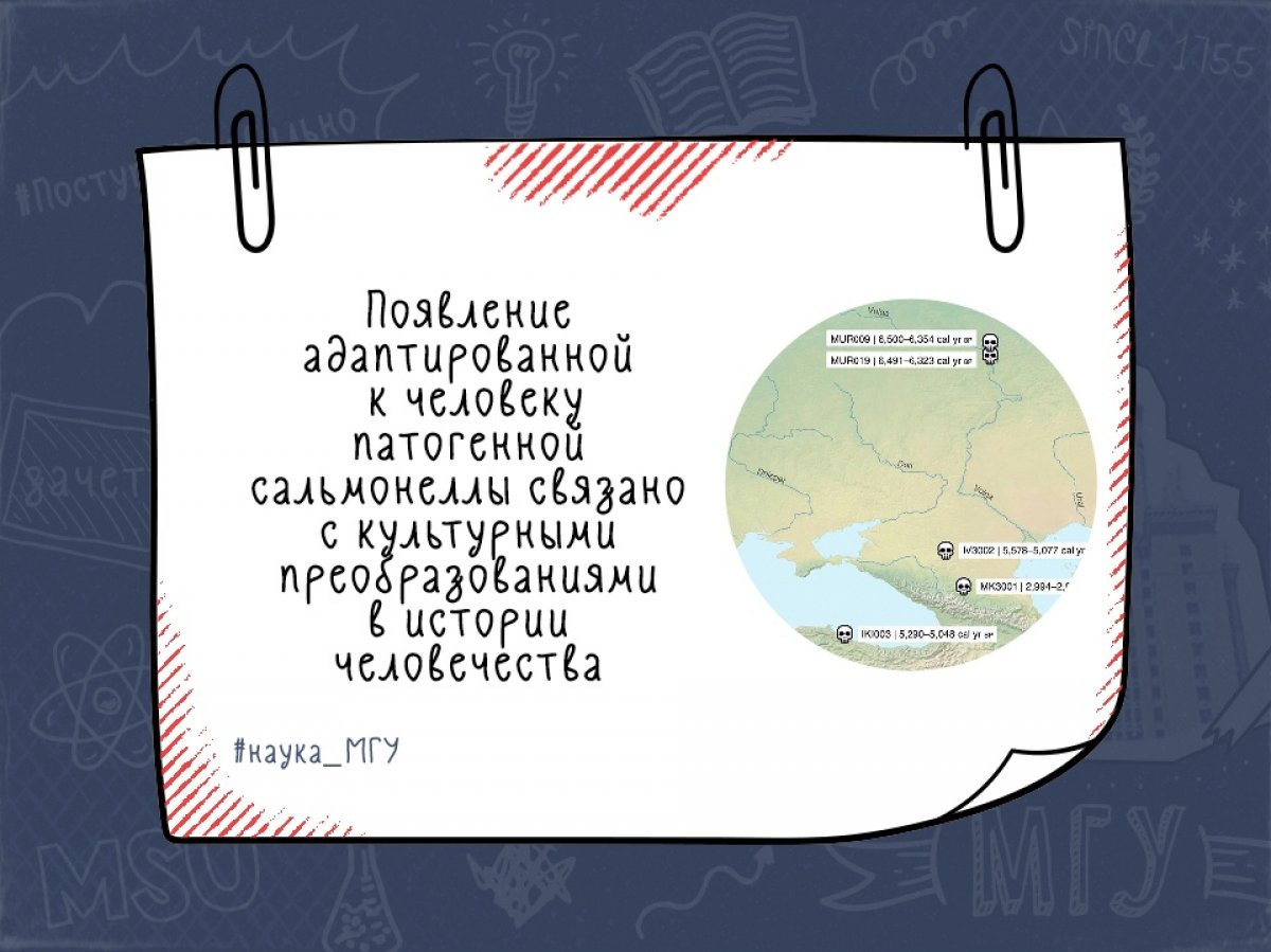 Учёные предположили, что переход в эпоху неолита от присваивающего (охота и собирательство) к производящему хозяйству (земледелие и скотоводство) способствовал появлению приспособленных к человеку патогенных организмов: http://bit.ly/32MUy9T
