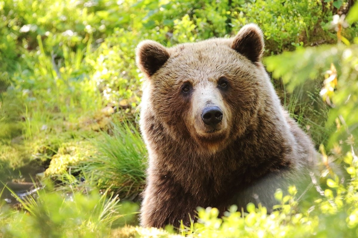 студентов-биологов