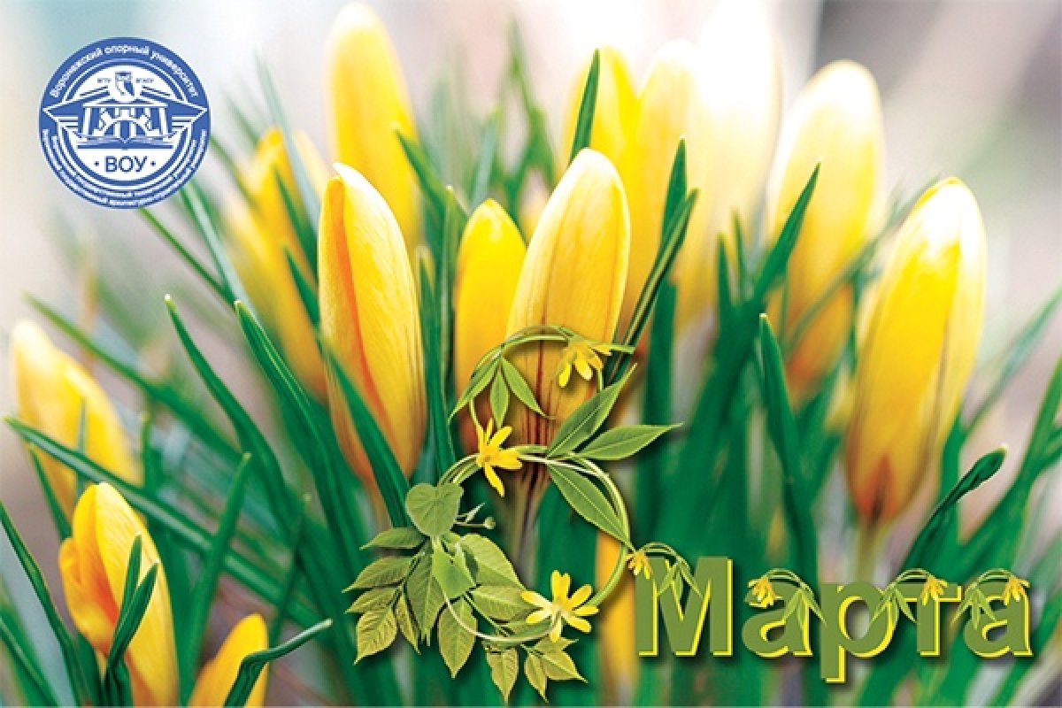 Дорогие женщины!