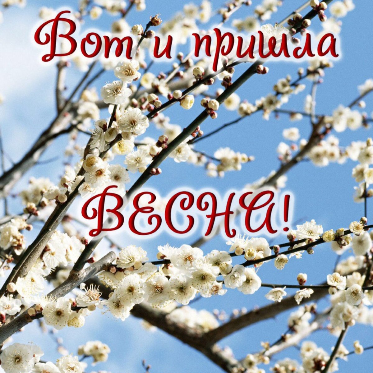 Поздравляем всех с первым днём весны!🌷 Поздравляем всех с первым днём весны!🌷