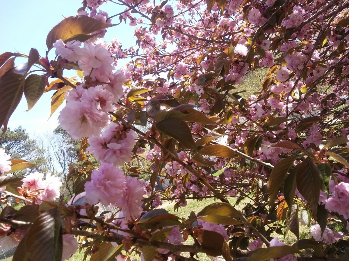 С наступающим праздником, милые дамы!