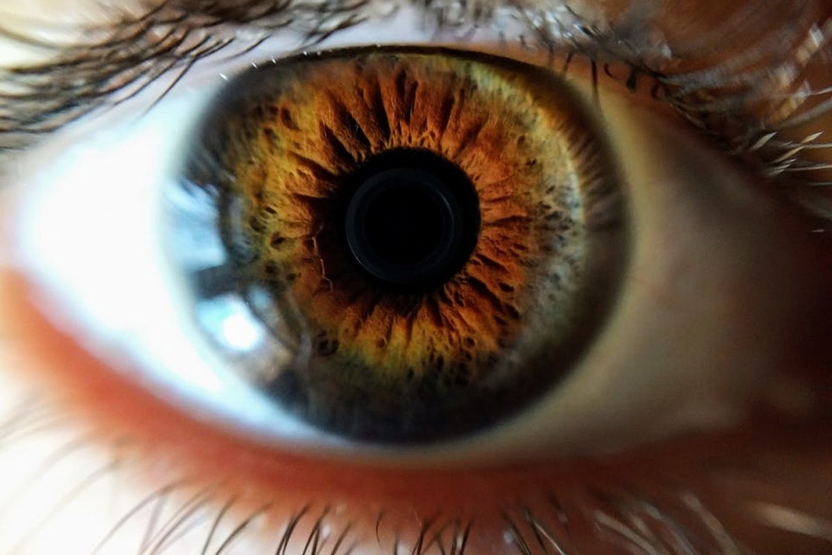 Учёные открыли новую систему передачи сигналов в мозге. Это поможет создать принципиально новые лекарства от шизофрении, депрессии, тревожных расстройств и различных зависимостей: https://vk.cc/ar8JwP