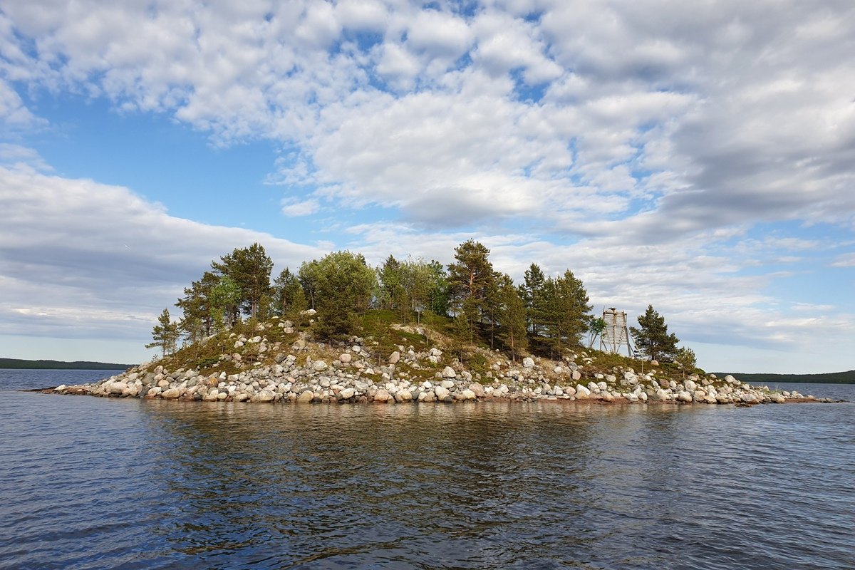 Из студентов-биологов