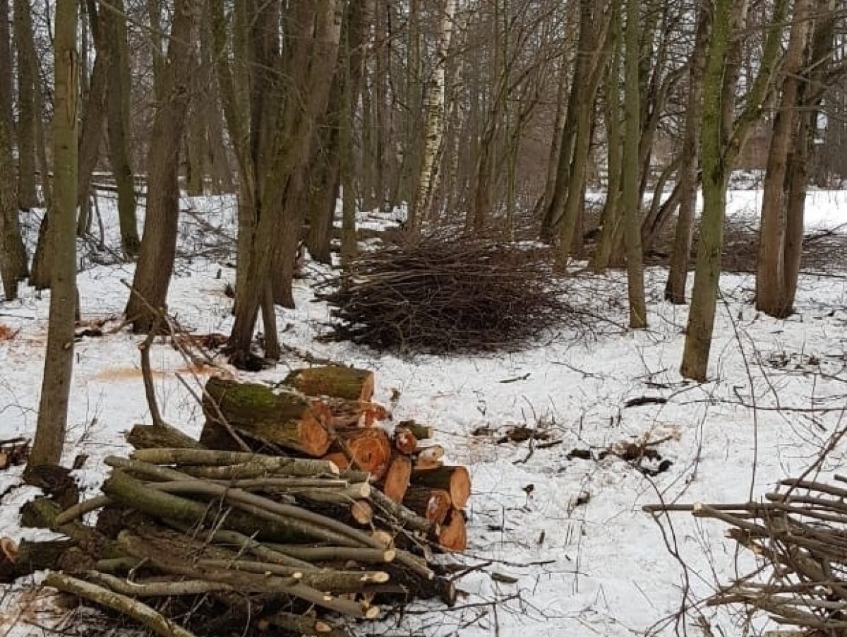 @vgmha Новость от 14-03-2020