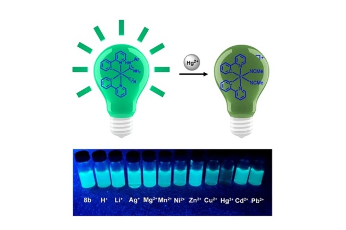 Ртуть и её соединения способны вызывать заболевания нервной системы, печени, почек, дыхательных путей и других органов. При этом соединения ртути могут накапливаться в организме и приводить к серьёзным хроническим отравлениям