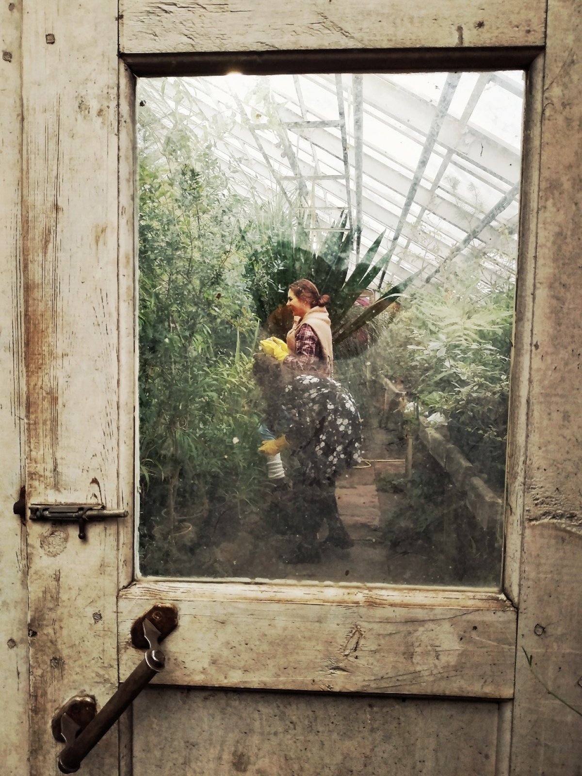 Двери Ботанического сада