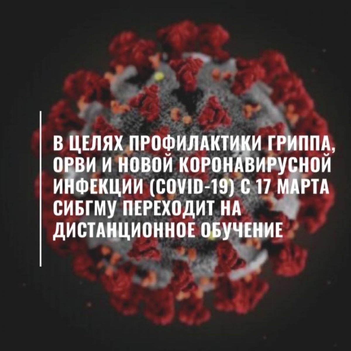 📌 С 17 марта СибГМУ переходит на дистанционное обучение