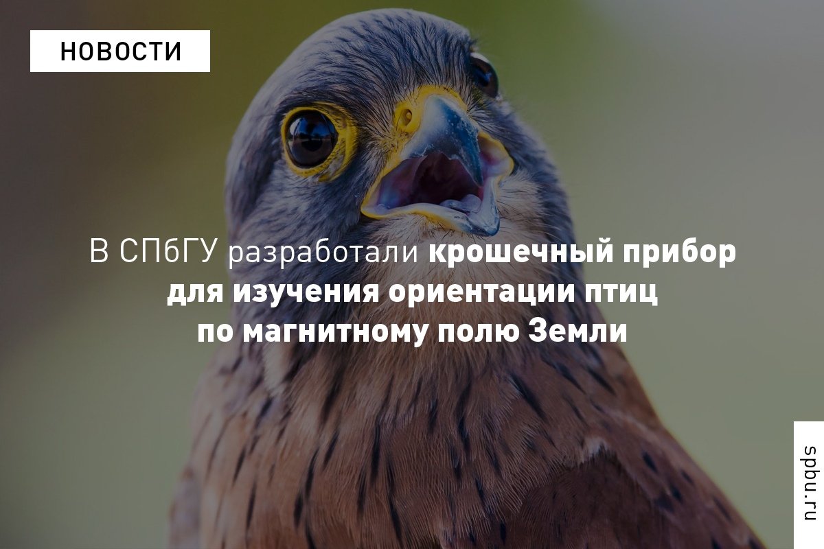 Учёные создали миниатюрный прибор весом чуть меньше грамма Учёные создали миниатюрный прибор весом чуть меньше грамма