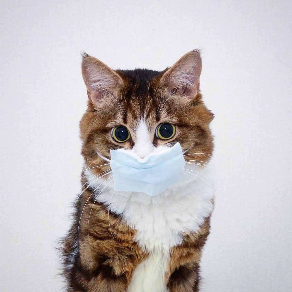 Не каникулы, а дистанционное обучение❗️ Не каникулы, а дистанционное обучение❗️