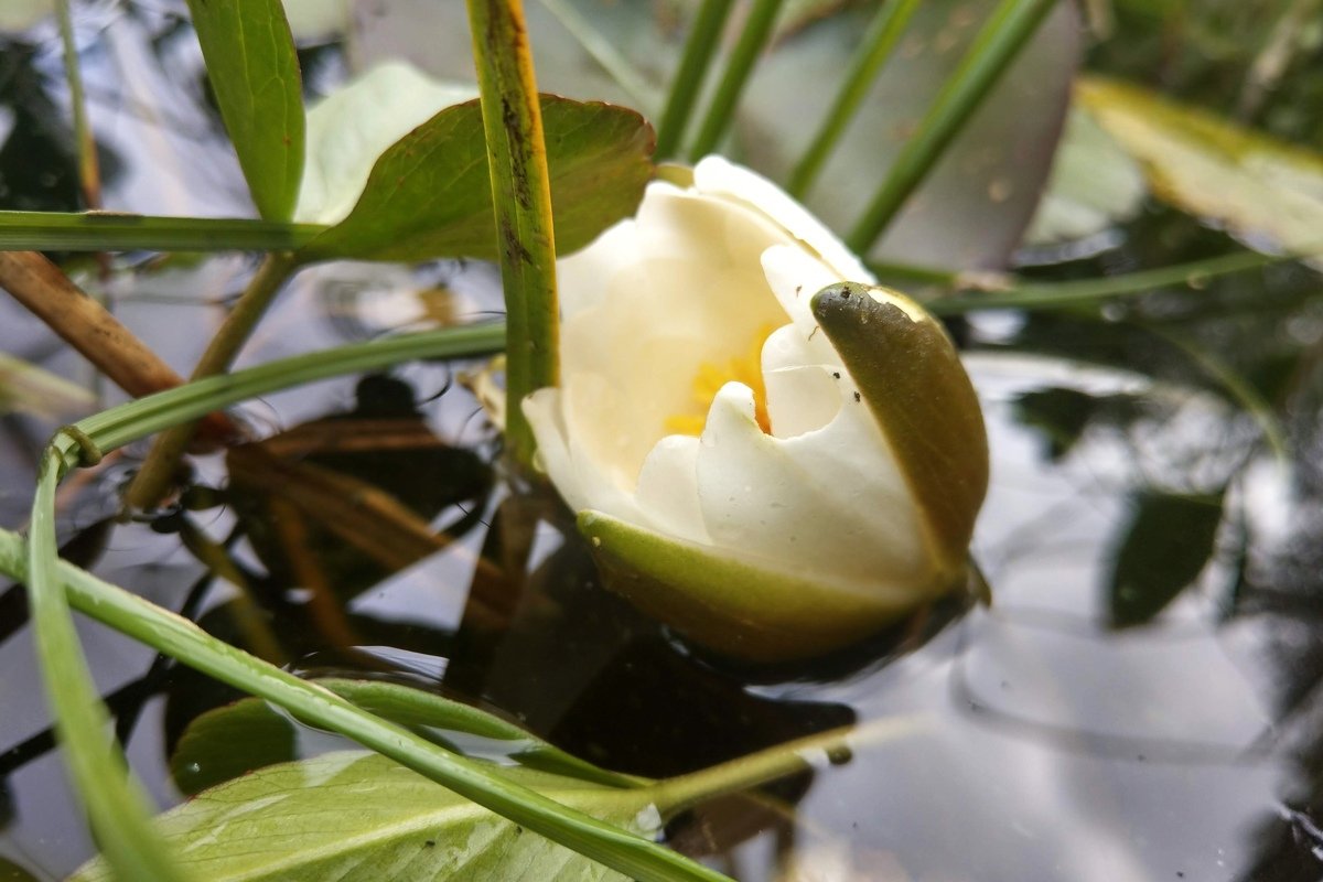 Из студентов-биологов