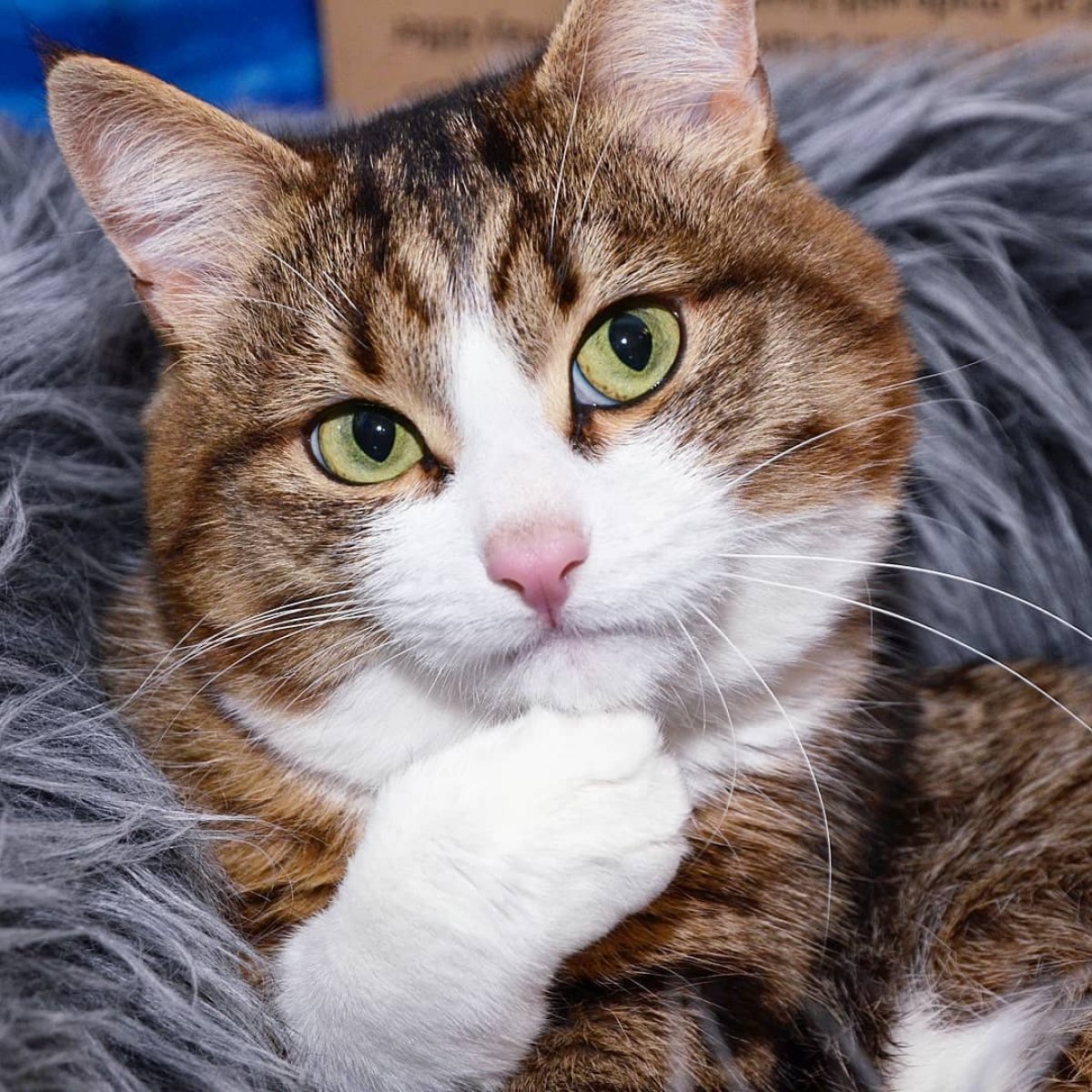 Нет ответа на мой вопрос, как быть?😱