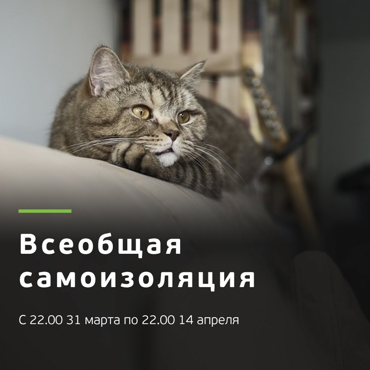 ‼️В Томской области введен режим полной самоизоляции. Он продлится с 22.00 сегодняшнего дня до 22.00 часов 14 апреля включительно
