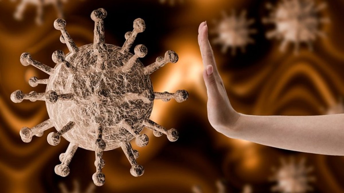 В новом разделе сайта «Меры по предотвращению коронавирусной инфекции» создан ресурс поддержки сотрудников и обучающихся Института