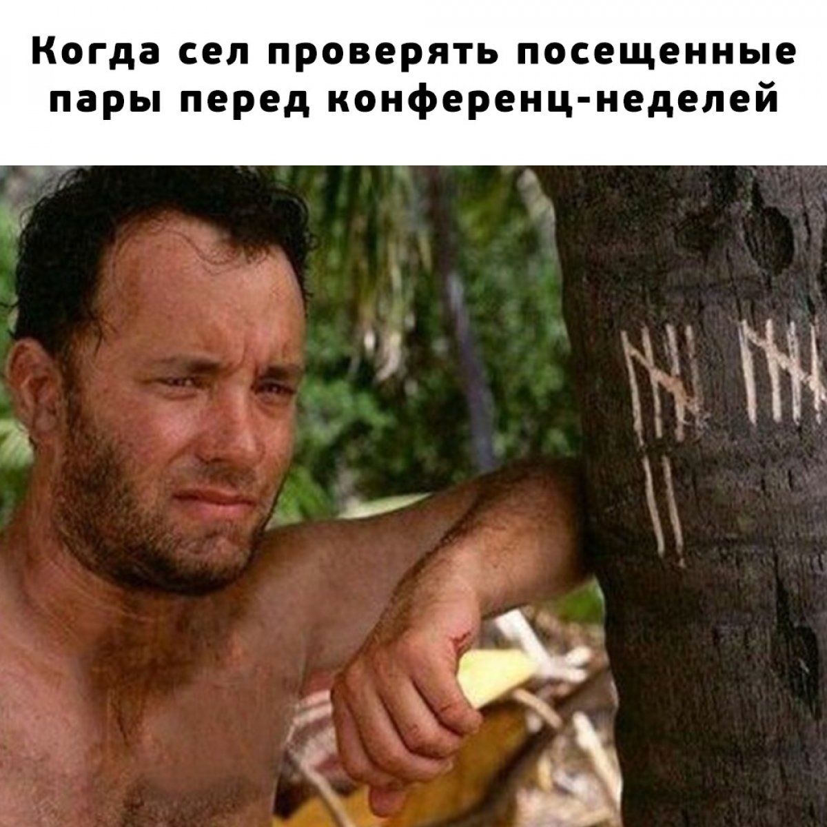 💡Есть гипотеза 💡Есть гипотеза