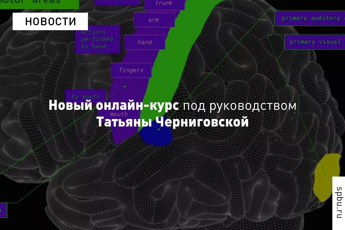 На Coursera стартовал наш новый онлайн-курс по нейролингвистике под руководством Татьяны Черниговской