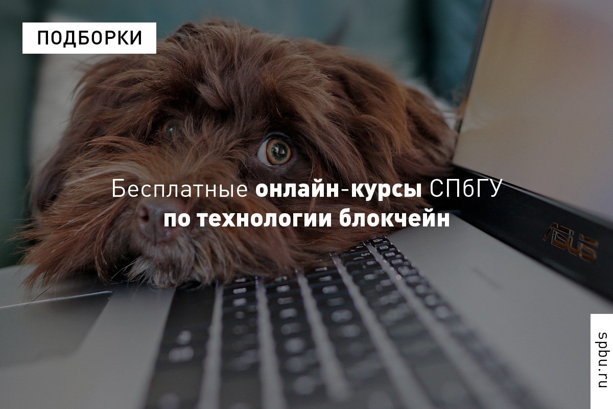 Что такое блокчейн, который у всех на слуху, и как он работает? Представляем короткую, но очень актуальную подборку онлайн-курсов по технологиям распределённых реестров