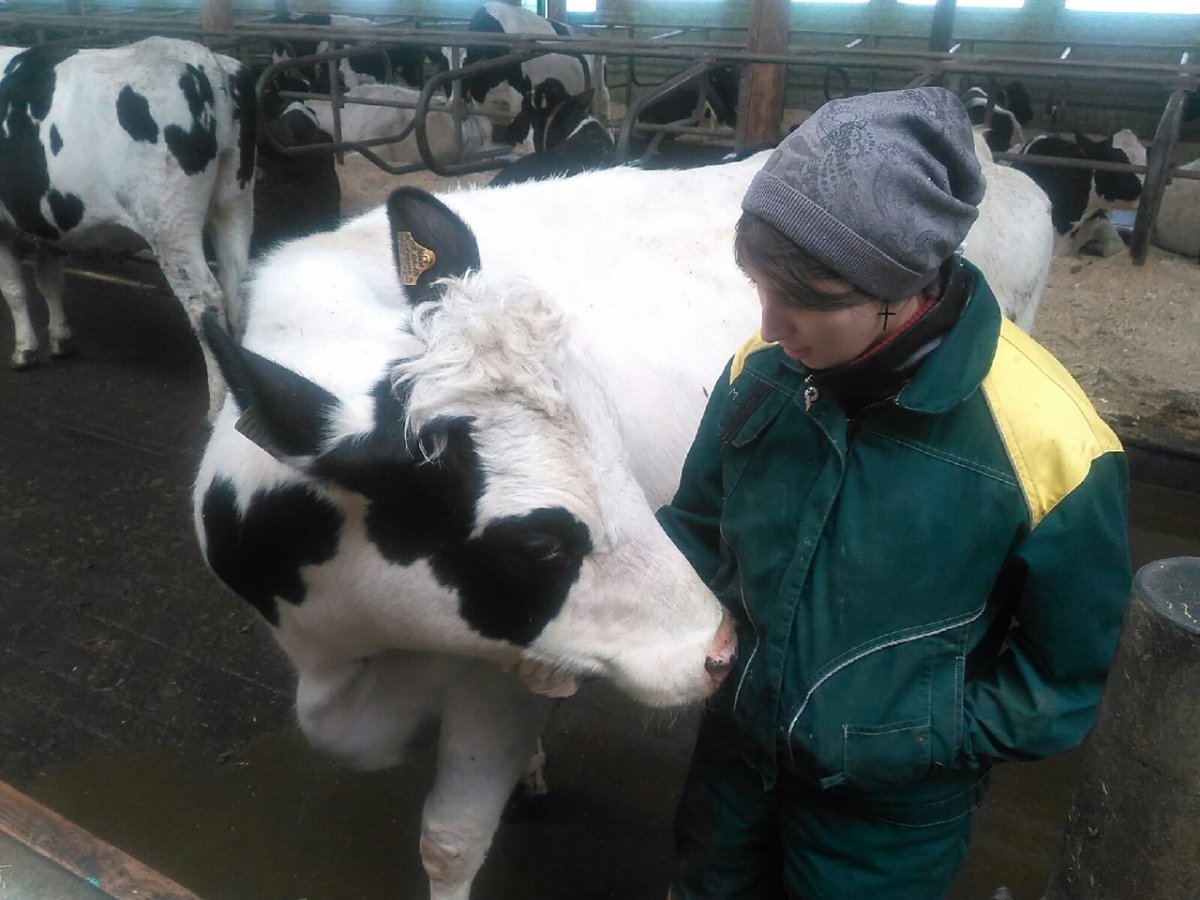 @vgmha @vgmha @vgmha @vgmha