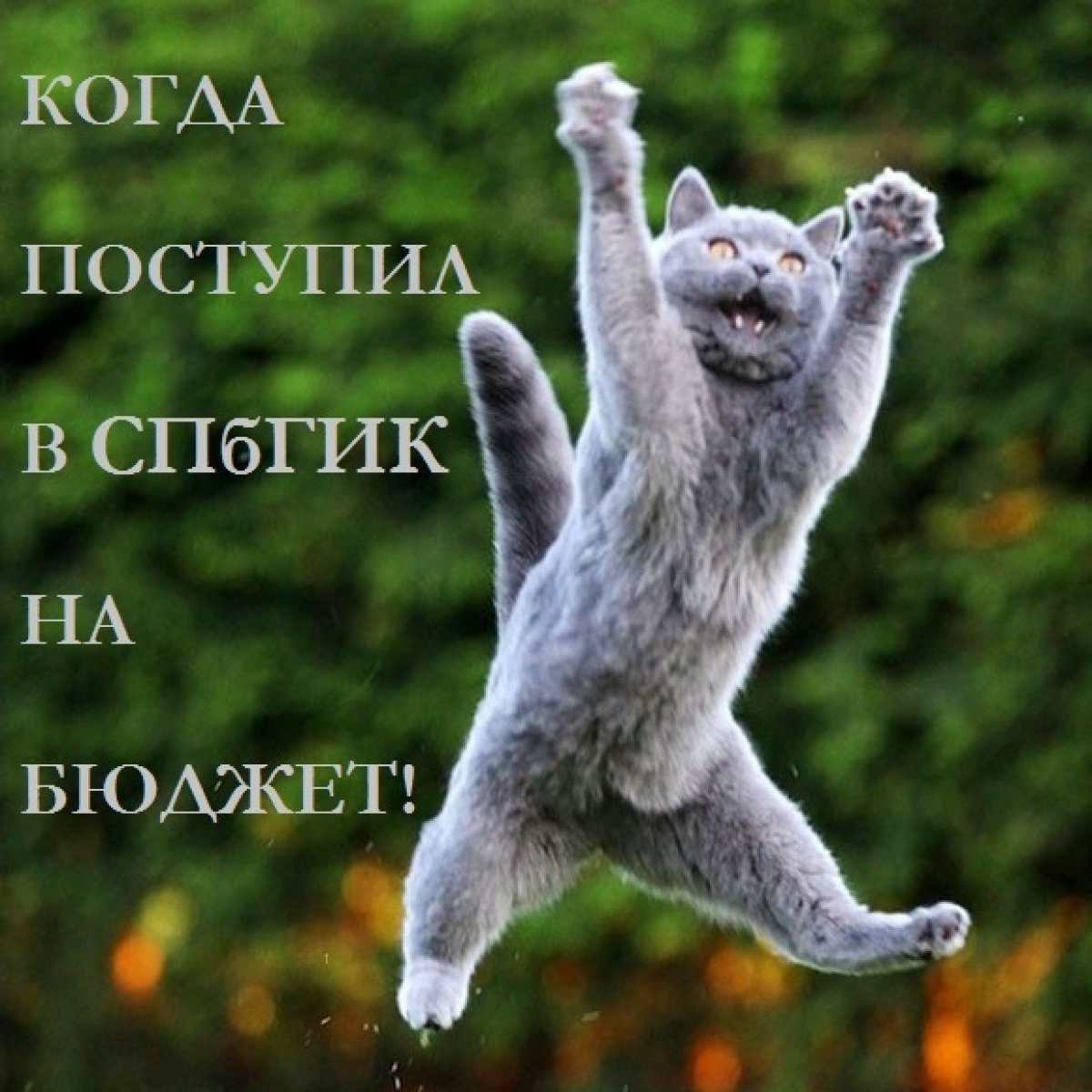 А знаете ли вы, что... А знаете ли вы, что...