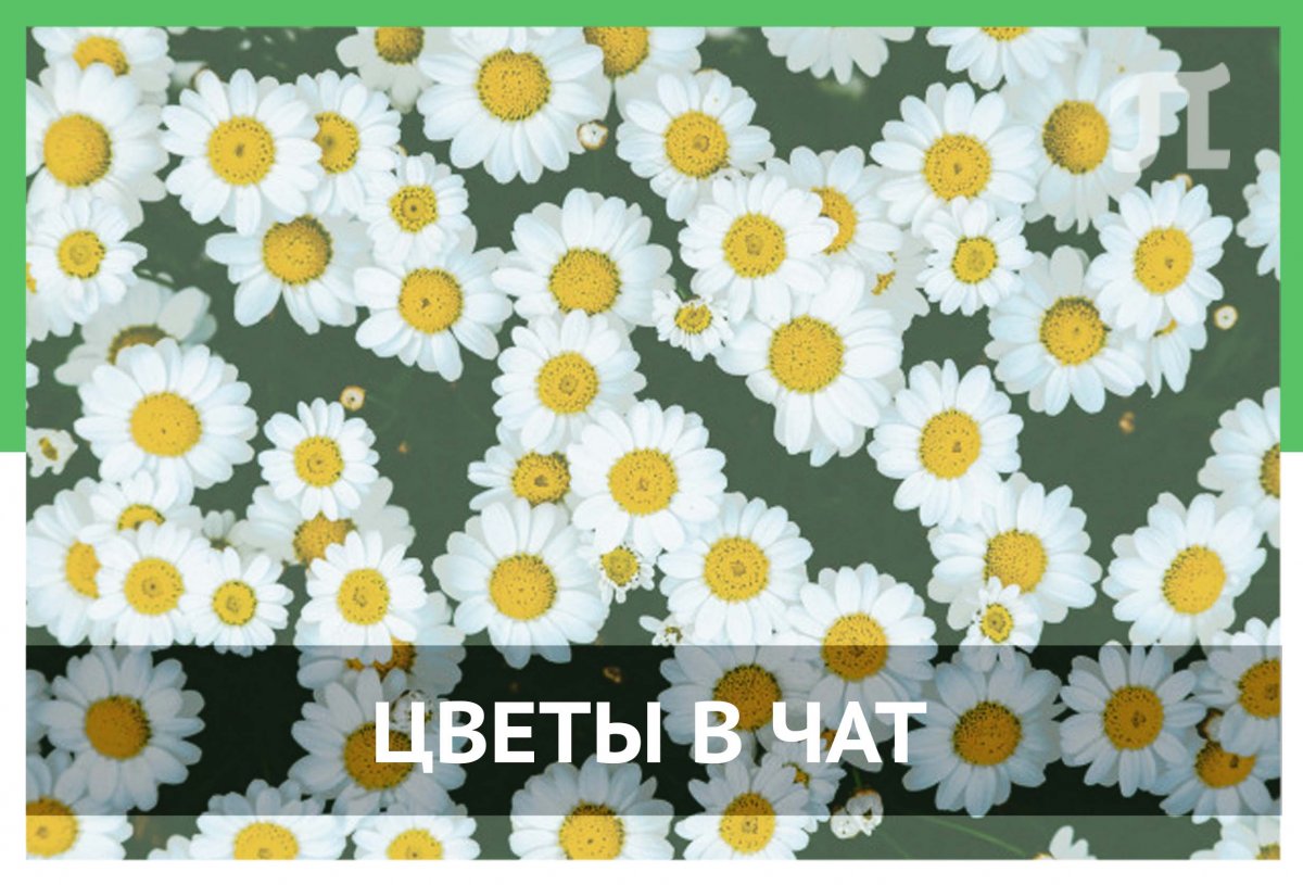 Школа культоргов объявляет новый флешмоб — цветы в чат!