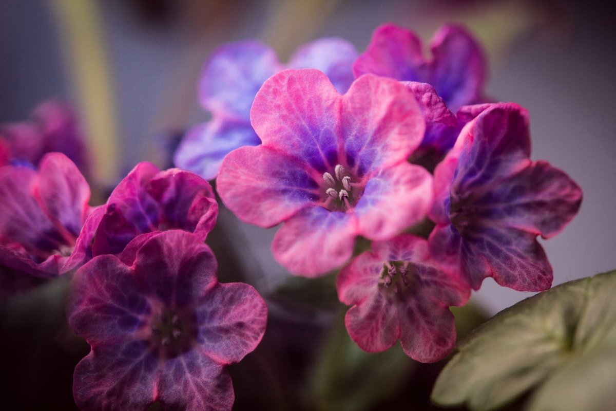 Бабушкины рецепты. Как легко покрасить яйца и испечь кулич?