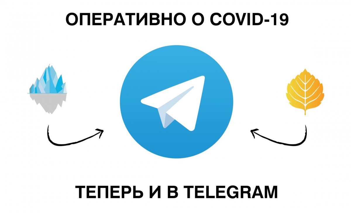 ИНФОРМАЦИЯ О КОРОНАВИРУСЕ В АРХАНГЕЛЬСКОЙ ОБЛАСТИ — В СПЕЦИАЛЬНОМ TELEGRAM-КАНАЛЕ!