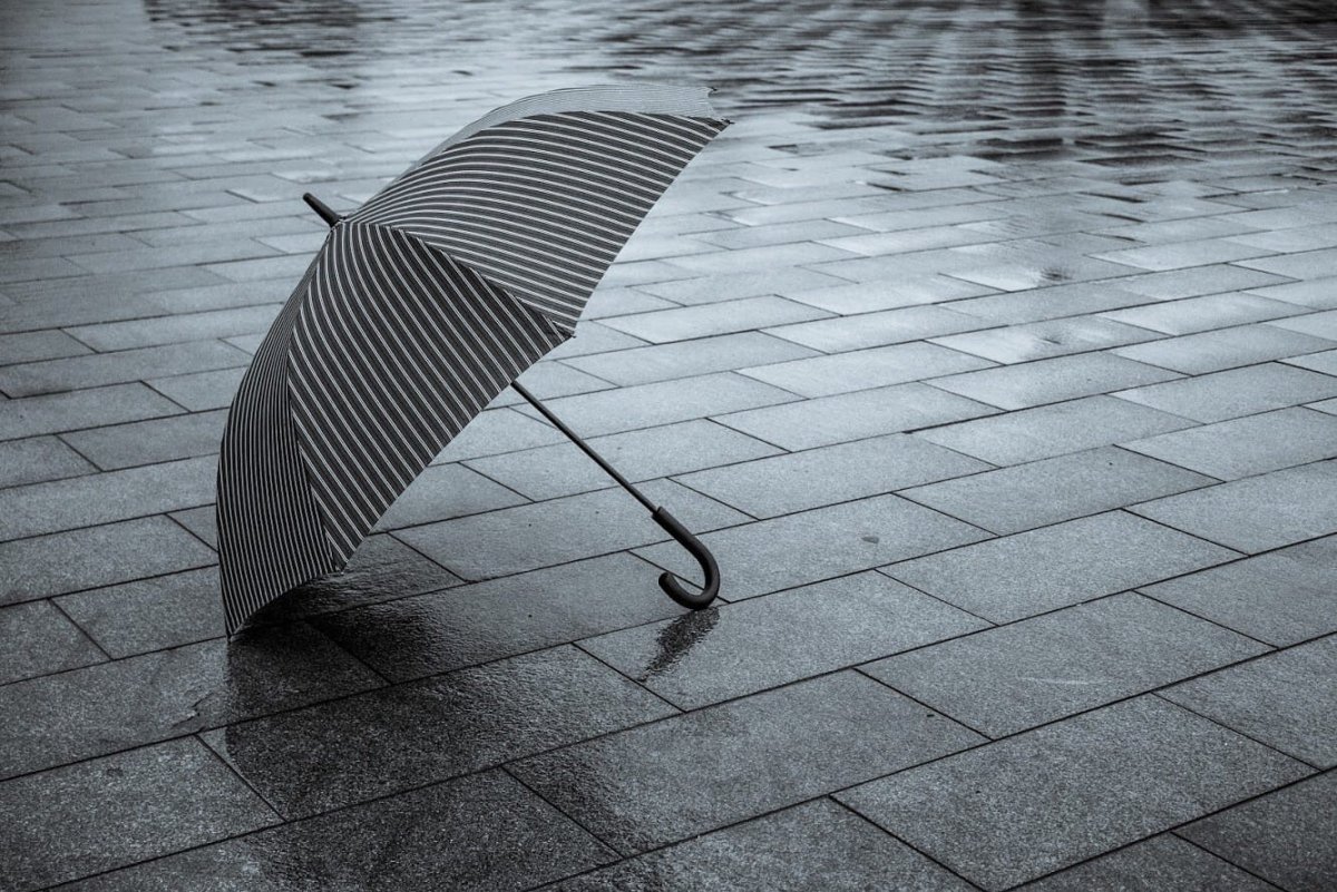 Чем же ещё можно занять себя во время карантина помимо дистанционного обучения?