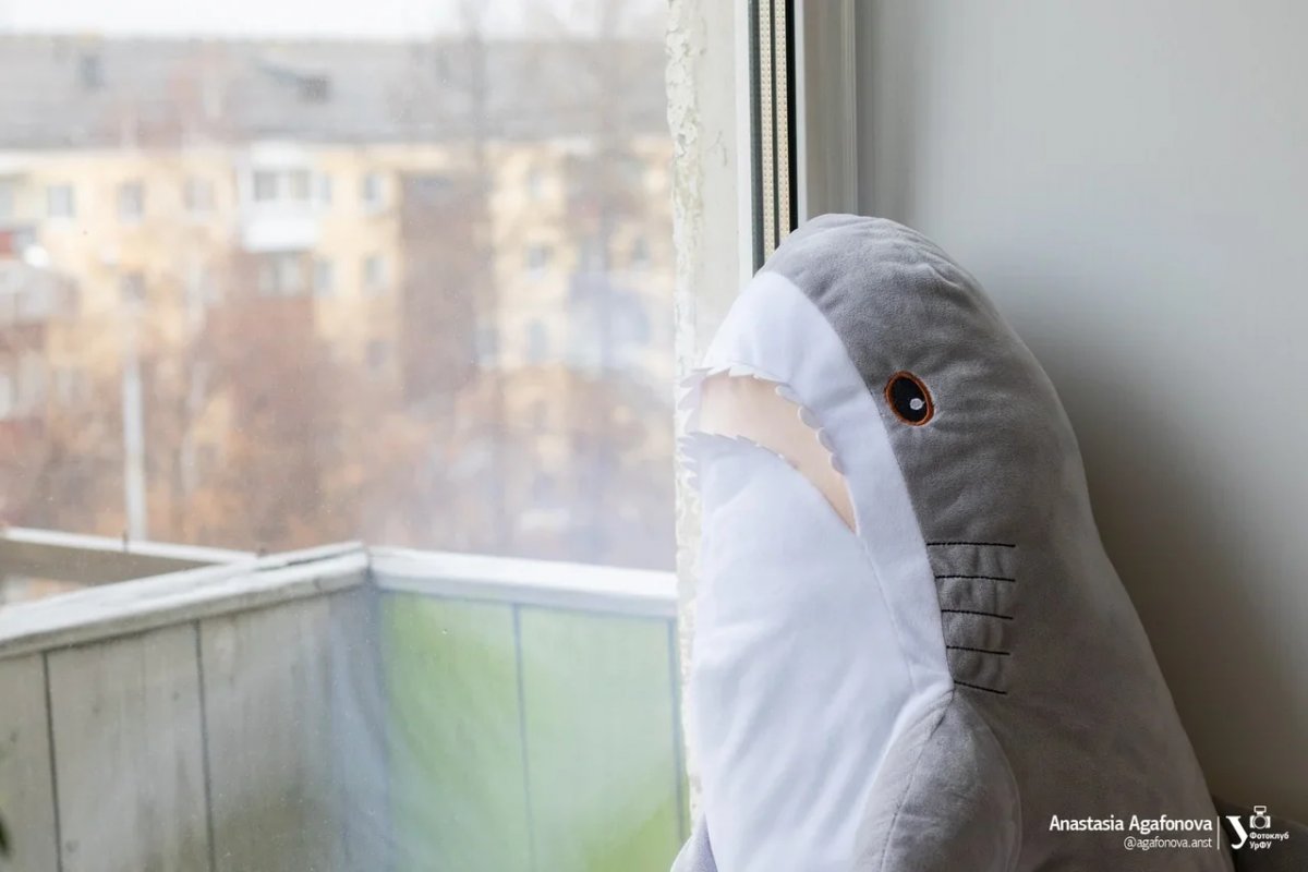 Не забывайте устраивать прогулки на балконе! Их можно совмещать с гимнастикой для глаз, чтобы они не так сильно уставали от постоянной работы с компьютером