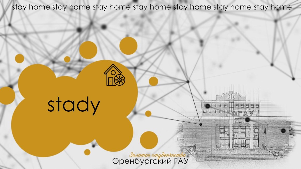 9 сайтов, с помощью которых можно стать гением: