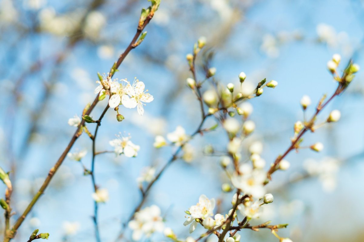 Доброе утро, ТОГУ! Отличный выходной весенний день🌸