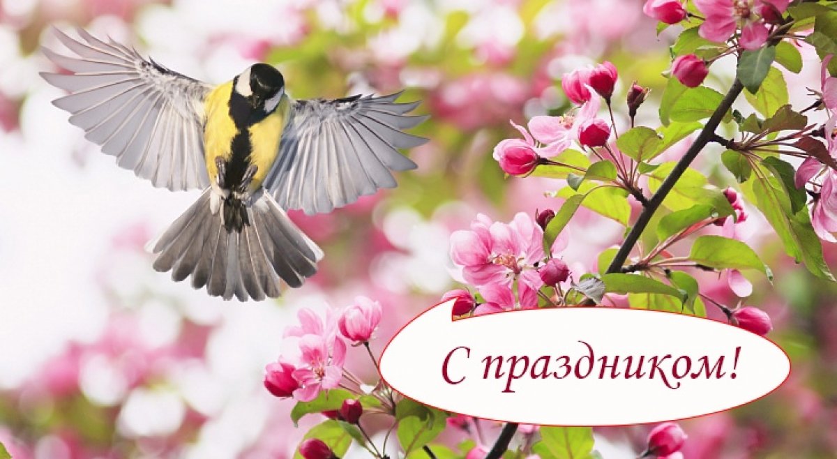 1 МАЯ Новость от 02-05-2020