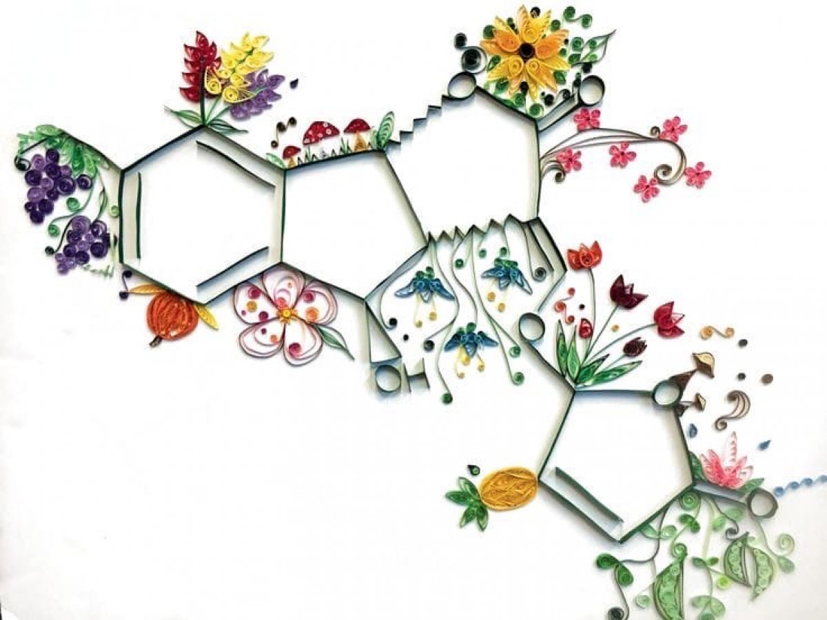 Знаете ли вы, что