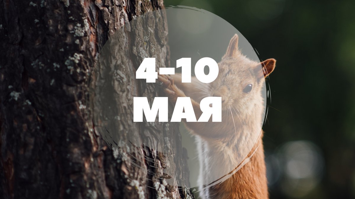 📍6 мая в 17:00 (по МСК) — Фестиваль актуального научного кино проводит лекцию о коронавирусе. На лекции вы узнаете