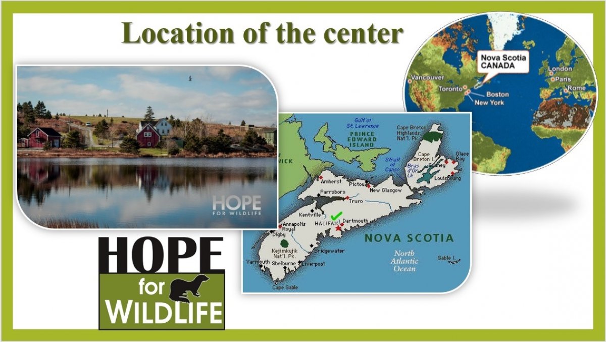 @vgmha Новость от 05-05-2020 @vgmha Новость от 05-05-2020