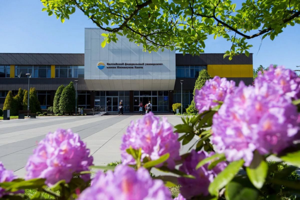 🆕 Объявление об отборе проектных заявок в рамках Программы 5-100 🆕 Объявление об отборе проектных заявок в рамках Программы 5-100